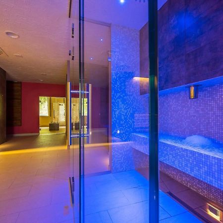 Wellness Penzion Smerdzonka - Kupele Pieniny Cerveny Klastor Ngoại thất bức ảnh