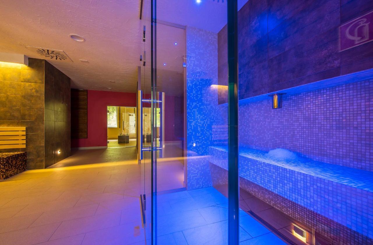 Wellness Penzion Smerdzonka - Kupele Pieniny Cerveny Klastor Ngoại thất bức ảnh